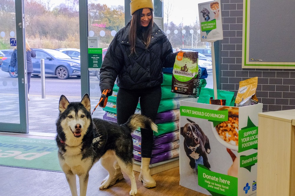 Local dog 2025 food stores