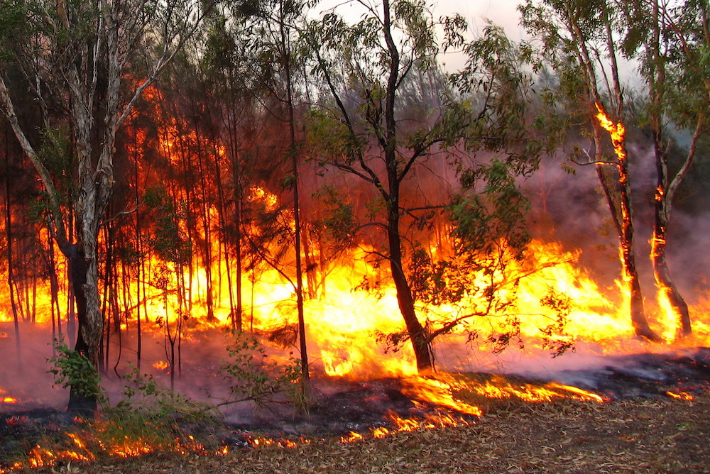 Fires! Floods! Bees! On-field fire at Colts-Titans is the latest