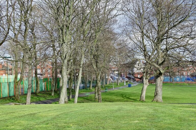 New road for Cross Flatts Park? - South Leeds Life