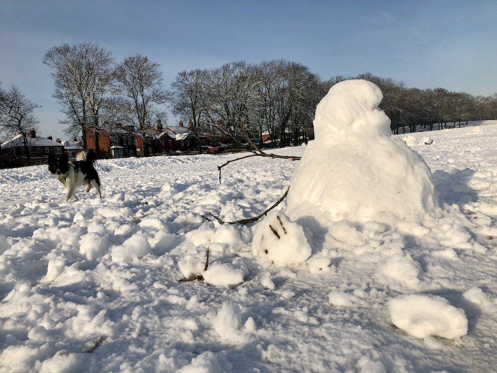 Snow 21 Dog and snowman Cross Flatts Park Sue Talbot