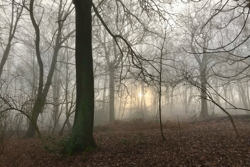 Free guided Halloween walk in Middleton Park South Leeds Life